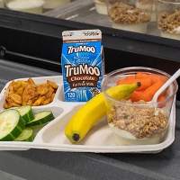 lunch tray with milk, cucumbers, carrots, yogurt and granola