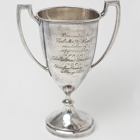 image of a silver trophy