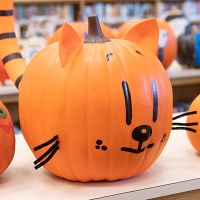 Pete the cat jackolantern