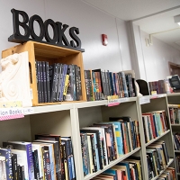 Library shelves with library books